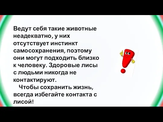 Ведут себя такие животные неадекватно, у них отсутствует инстинкт самосохранения, поэтому