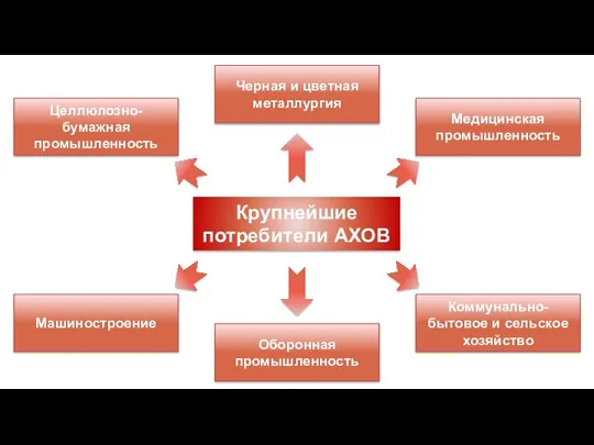 Крупнейшие потребители АХОВ Медицинская промышленность Черная и цветная металлургия Целлюлозно-бумажная промышленность