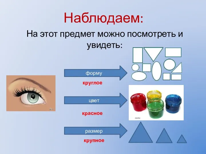 Наблюдаем: На этот предмет можно посмотреть и увидеть: форму цвет размер круглое красное крупное