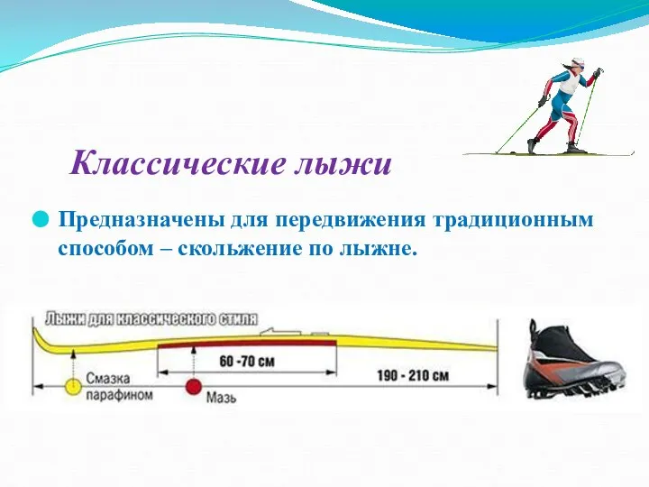 Классические лыжи Предназначены для передвижения традиционным способом – скольжение по лыжне.