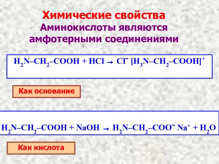 Химические свойства Аминокислоты являются амфотерными соединениями H2N–CH2–COOH + HCl → Cl−