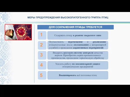 МЕРЫ ПРЕДУПРЕЖДЕНИЯ ВЫСОКОПАТОГЕННОГО ГРИППА ПТИЦ 3 2 4 5 1