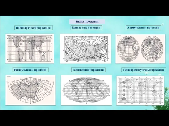 Виды проекций Равновеликие проекции Равноугольные проекции Равнопромежуточные проекции Цилиндрические проекции Конические проекции Азимутальные проекции