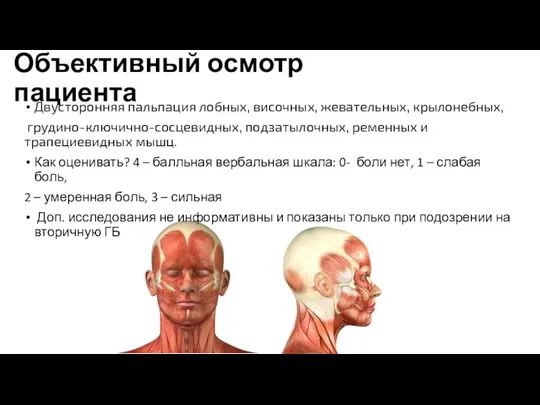 Объективный осмотр пациента Двусторонняя пальпация лобных, височных, жевательных, крылонебных, грудино-ключично-сосцевидных, подзатылочных,