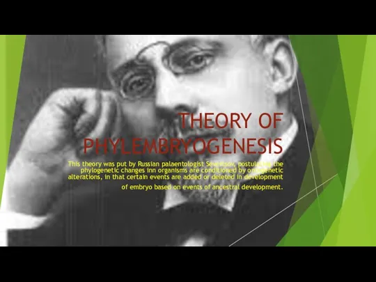 THEORY OF PHYLEMBRYOGENESIS This theory was put by Russian palaentologist Severtsov,