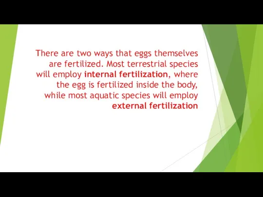 There are two ways that eggs themselves are fertilized. Most terrestrial