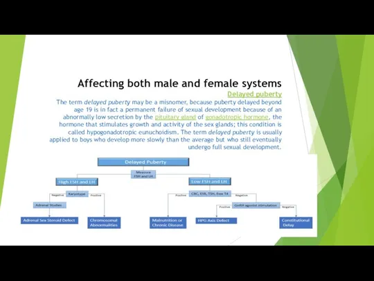 Affecting both male and female systems Delayed puberty The term delayed