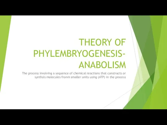 THEORY OF PHYLEMBRYOGENESIS- ANABOLISM The process involving a sequence of chemical