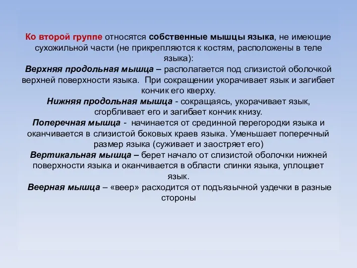 Ко второй группе относятся собственные мышцы языка, не имеющие сухожильной части