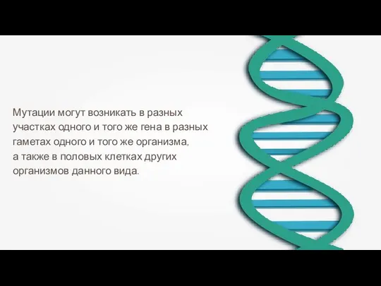 Мутации могут возникать в разных участках одного и того же гена