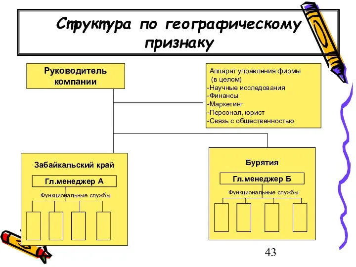 Структура по географическому признаку Руководитель компании Забайкальский край Гл.менеджер А Функциональные