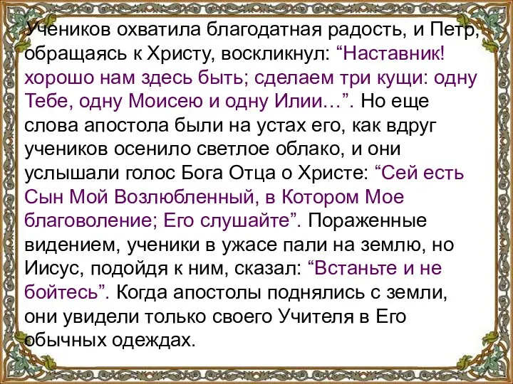 Учеников охватила благодатная радость, и Петр, обращаясь к Христу, воскликнул: “Наставник!