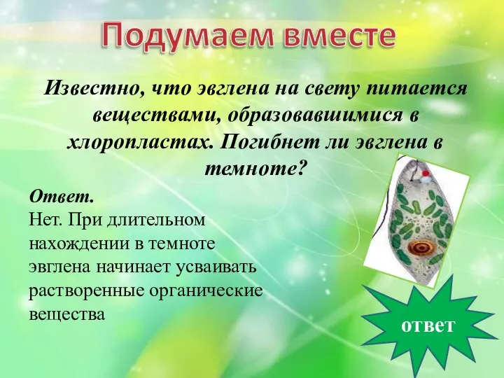 Известно, что эвглена на свету питается веществами, образовавшимися в хлоропластах. Погибнет