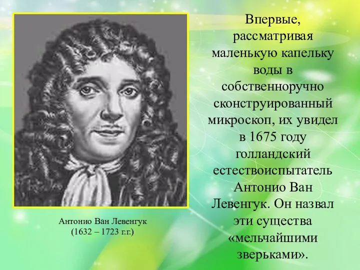 Впервые, рассматривая маленькую капельку воды в собственноручно сконструированный микроскоп, их увидел