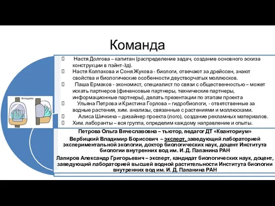 Команда Настя Долгова – капитан (распределение задач, создание основного эскиза конструкции