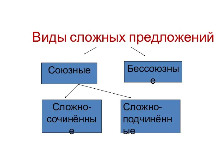 Виды сложных предложений Союзные Сложно Бессоюзные Сложно- сочинённые Сложно- подчинённые