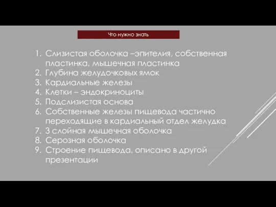 Слизистая оболочка –эпителия, собственная пластинка, мышечная пластинка Глубина желудочковых ямок Кардиальные