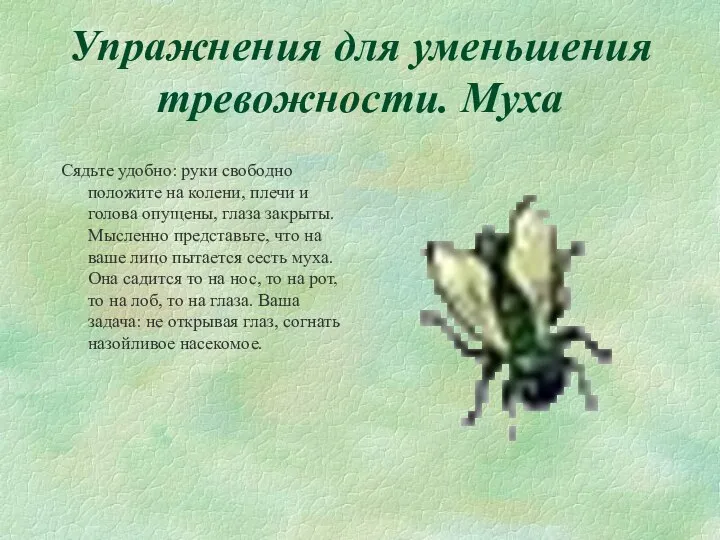 Упражнения для уменьшения тревожности. Муха Сядьте удобно: руки свободно положите на