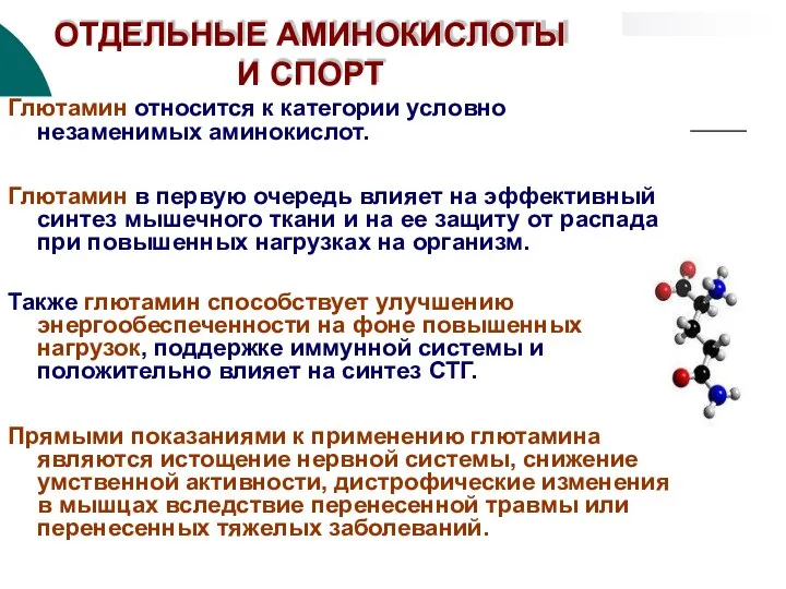 ОТДЕЛЬНЫЕ АМИНОКИСЛОТЫ И СПОРТ Глютамин относится к категории условно незаменимых аминокислот.