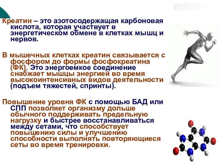 КРЕАТИН И СПОРТ Креатин – это азотосодержащая карбоновая кислота, которая участвует