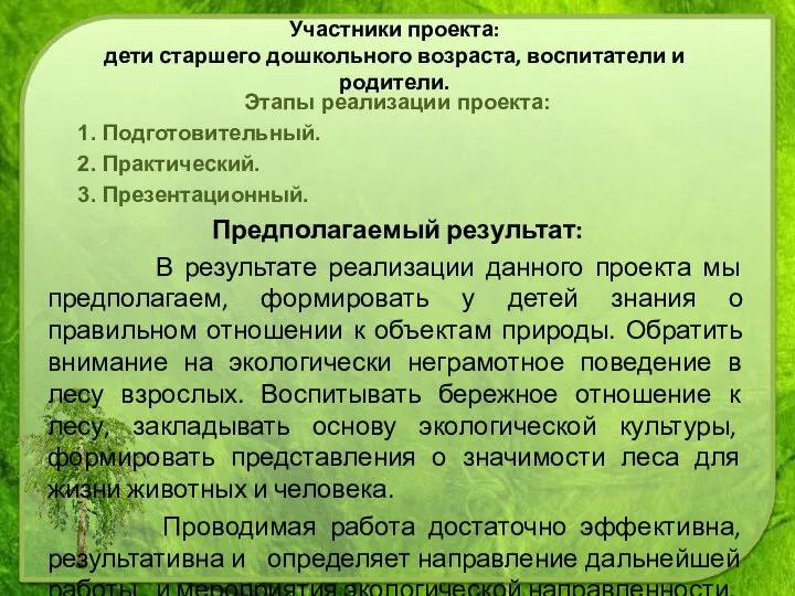 Этапы реализации проекта: 1. Подготовительный. 2. Практический. 3. Презентационный. Предполагаемый результат: