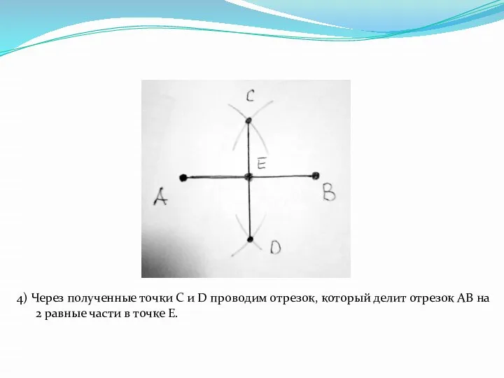 4) Через полученные точки C и D проводим отрезок, который делит