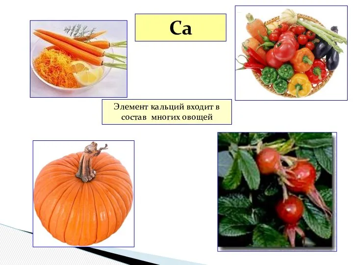 Ca Элемент кальций входит в состав многих овощей