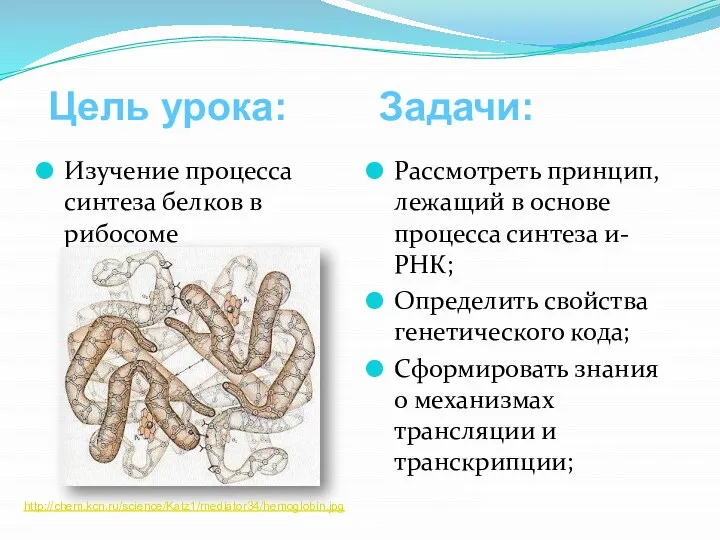 Изучение процесса синтеза белков в рибосоме Рассмотреть принцип, лежащий в основе