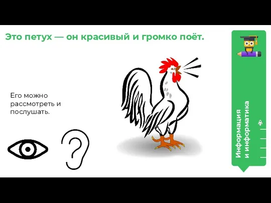 Информация и информатика Это петух — он красивый и громко поёт. Его можно рассмотреть и послушать.