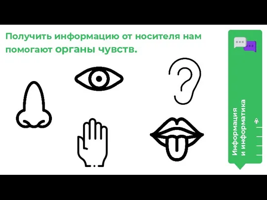 Информация и информатика Получить информацию от носителя нам помогают органы чувств.