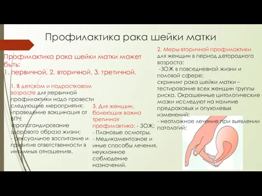 Профилактика рака шейки матки Профилактика рака шейки матки может быть: 1.