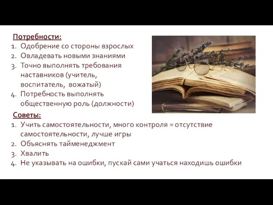 Потребности: Одобрение со стороны взрослых Овладевать новыми знаниями Точно выполнять требования