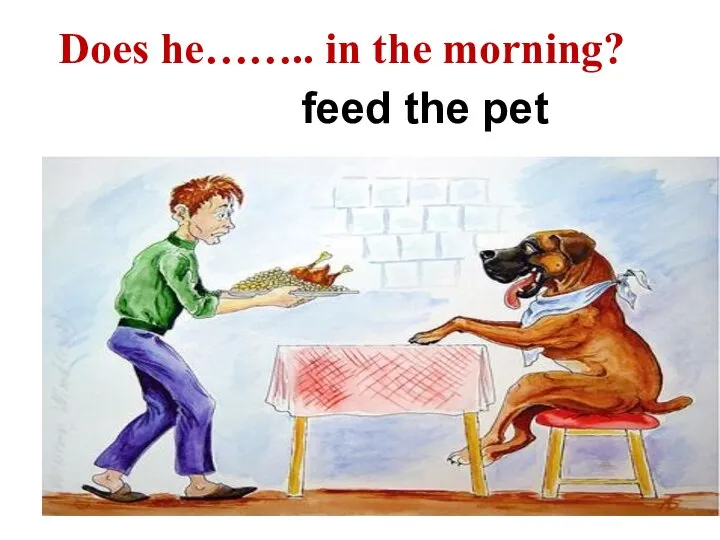 feed the pet Does he…….. in the morning?