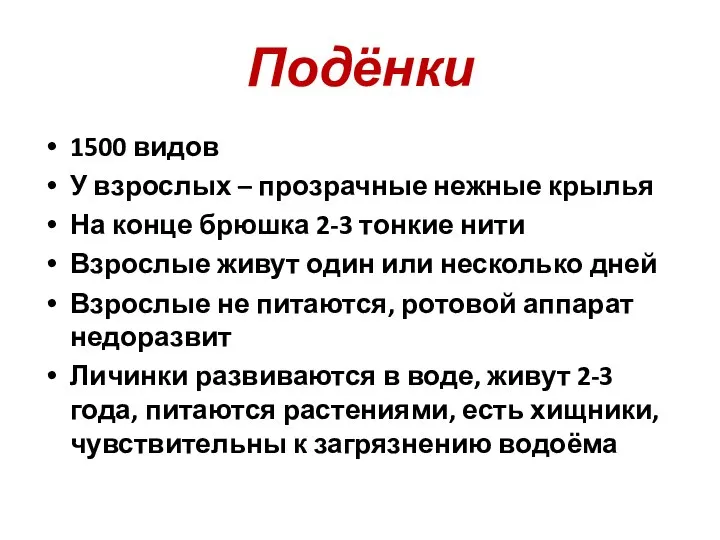 Подёнки 1500 видов У взрослых – прозрачные нежные крылья На конце