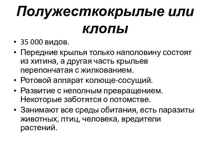 Полужесткокрылые или клопы 35 000 видов. Передние крылья только наполовину состоят