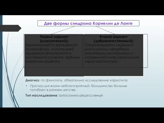 Две формы синдрома Корнелии де Ланге Диагноз: по фенотипу, обязательно исследование