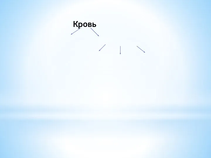 Кровь