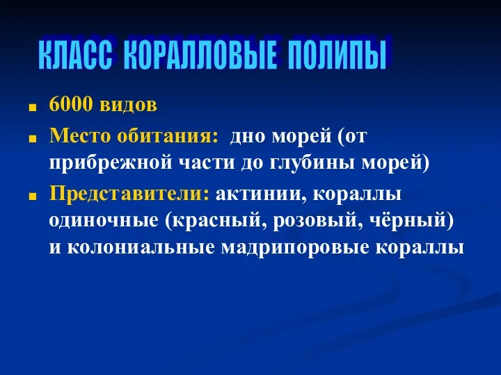 6000 видов Место обитания: дно морей (от прибрежной части до глубины