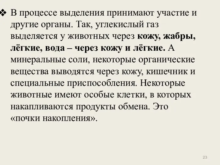 В процессе выделения принимают участие и другие органы. Так, углекислый газ