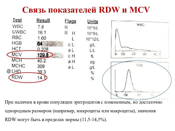 Связь показателей RDW и MCV При наличии в крови популяции эритроцитов