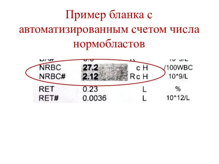 Пример бланка с автоматизированным счетом числа нормобластов