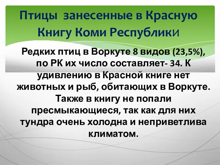 Редких птиц в Воркуте 8 видов (23,5%), по РК их число