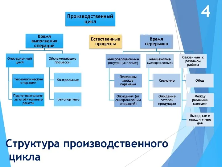 Структура производственного цикла 4