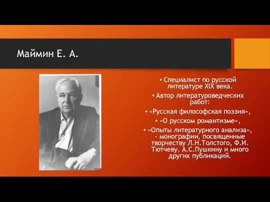Маймин Е. А. Специалист по русской литературе XIX века. Автор литературоведческих