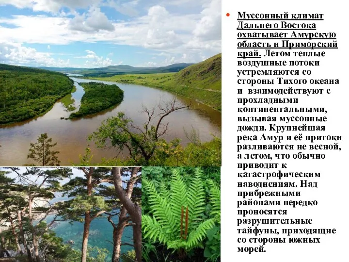 Муссонный климат Дальнего Востока охватывает Амурскую область и Приморский край. Летом