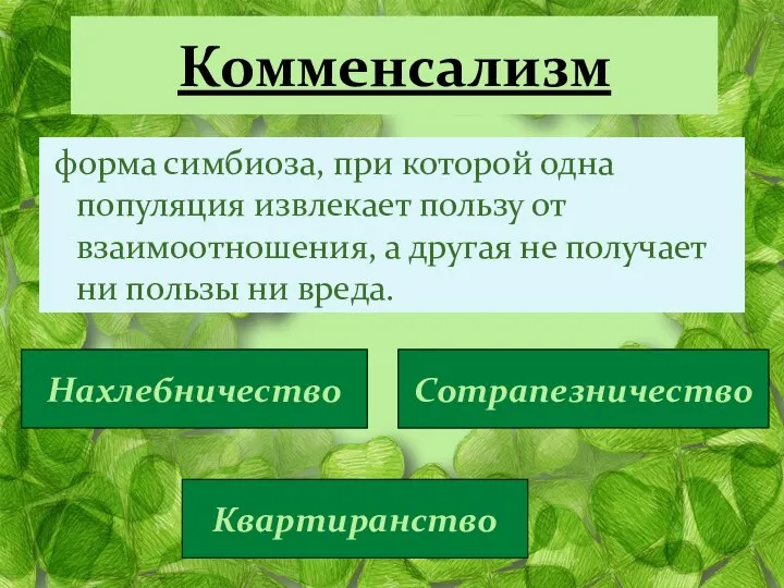 Комменсализм форма симбиоза, при которой одна популяция извлекает пользу от взаимоотношения,