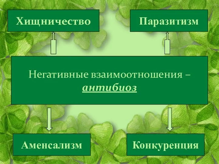 Негативные взаимоотношения – антибиоз Хищничество Паразитизм Аменсализм Конкуренция