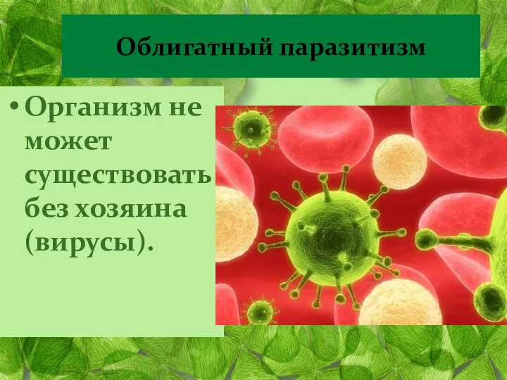 Облигатный паразитизм Организм не может существовать без хозяина (вирусы).