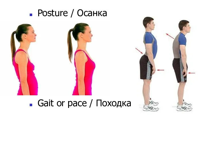 Posture / Осанка Gait or pace / Походка