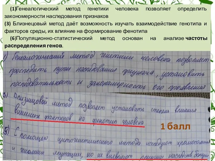 (1)Генеалогический метод генетики человека позволяет определить закономерности наследования признаков (3) Близнецовый